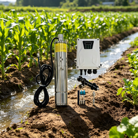 Pompe solaire submersible 48V multi-étages 3 pouces pour puits profond 500W avec contrôleur MPPT et interrupteur à flotteur pour ferme