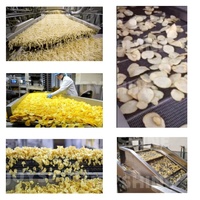 Usine entièrement automatique Joyshine machine à frire les frites ligne de transformation alimentaire ligne de production de chips et frites