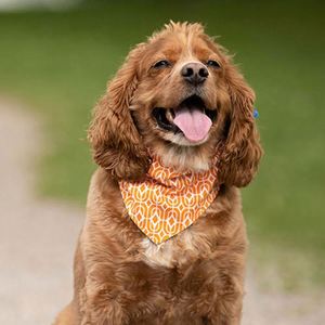 Hot Sale Good Quality Washable <b>Adjustable</b> Sublimation Printed Solid Color <b>Square</b> Customized Scarf Dog Bandana - Product Image 6