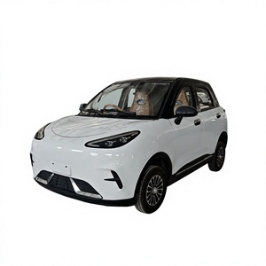 BRT Little Fairy White, SUV Eléctrico Compacto, Diseño Moderno, Vehículo Urbano, Mini Auto Eléctrico de Baja Velocidad - Product Image 1
