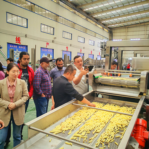 Verkauf Voll automatische industrielle gefrorene Pommes Frites Produktions linie Cassava frische Finger Kartoffel chips Herstellung Maschine Preis