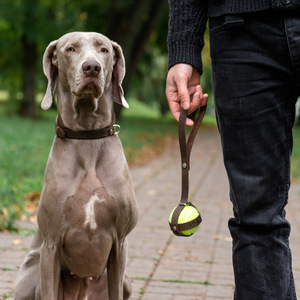 En stock : Sac de rangement pour balles de tennis pour animaux, sac suspendu pour balles de jeu pour animaux, porte-balles de tennis élastique en cuir PU pour animaux - Product Image 3
