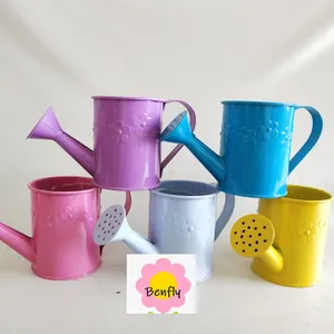 small Play Time or Practical Use galvanized zinc metal Watering Can for Kids Child for Home garden yard flower planter