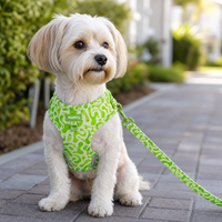 Ensemble laisse, collier et harnais pour chien personnalisé OKKPETS de luxe avec porte-sac à déjections, imprimé abstrait vert lime