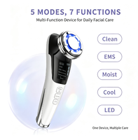 Masseur facial galvanique portatif, appareil de soin de la peau ionique portable, instrument de beauté à domicile, possibilité de personnaliser le logo