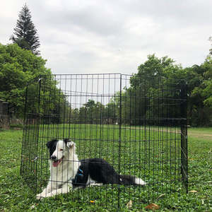 Evcil hayvan çiti küçük Pet kedi köpekler Pet kafesleri açık oyun parkı modüler kaynaklı tel çit panelleri köpek kafesleri - Product Image 2