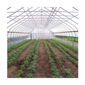 Invernadero Sinok, Cultivadores de Vegetales, Sistema Hidropónico, Agricultura Inteligente, Invernadero - Product Image 5