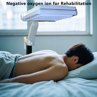 Negative Oxygen Ion Making Machine for Household or Health Care Body Longevity High Concentration Negative Oxygen Ion Generator
