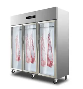 中国工厂热销肉类烤肉柜干老化冰箱，用于肉类牛肉或哈姆酒
