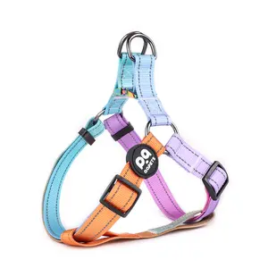 2024 Dog Accessories best price dog collar and leash set rainbow gradient reflective custom colorful dog harness