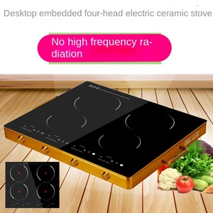 Table de cuisson à induction commerciale double tête 500W avec batterie solaire intégrée, pour camping-car et usage domestique, en verre, OEM, grande capacité, 4 brûleurs, tactile - Product Image 2