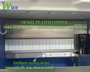 Thương mại rõ ràng máy nước đá cho whisky, khách sạn bar, nhà hàng sử dụng Wice nhà máy sành ăn xi lanh Ice Maker 36kg 700kg Công suất - Product Image 5