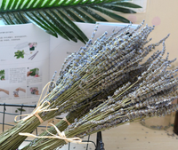 Bunga Lavender kering kerajinan alami penjualan laris harga rendah pabrik grosir bunga Lavender kering untuk rumah acara dekorasi pernikahan Lavender