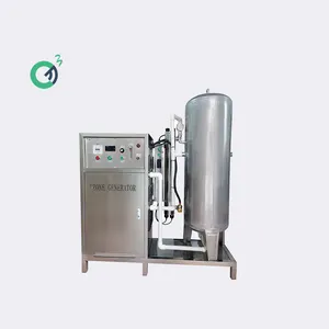 Drinkwaterbehandelingsapparaat Ozonozongenerator Ozonmachine Voor Drinkwater