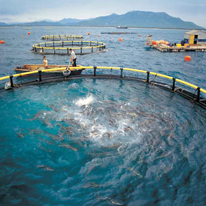 Doublure de géomembrane étanche en HDPE pour doublure d'étang d'eau extérieure décharge de pisciculture et réservoir de biogaz - Product Image 4