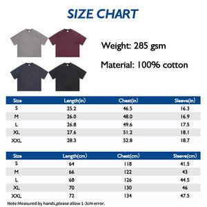 2025 SS nouveauté 285g t-shirt raglan lavé batik en détresse avec conception de panneau de contraste - Product Image 3