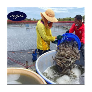 แผ่นกันซึม HDPE สำหรับบ่อเลี้ยงกุ้ง แผ่นกันซึม HDPE บริสุทธิ์ 100% สำหรับบ่อ กั้นน้ำ บ่อสระว่ายน้ำ ความหนา 1.5 มม. 1.0 มม. - Product Image 1