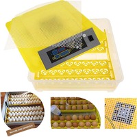Nouvel Incubateur/Éclosoir Entièrement Automatique en Matériau PC à Haute Productivité pour Œufs d'Autruche, Canard, Poulet avec 90 % de Taux d'Éclosion et Garantie