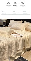Parure de lit jacquard lavée de haute qualité, double couche, fraîche, imperméable, lavable en machine, pour chambre à coucher