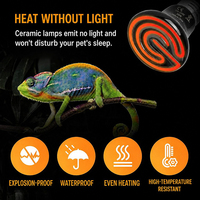 Lampe chauffante à spectre complet pour poussins, perroquets, serpents de compagnie, pour le maintien au chaud, sauna et lampe à vapeur