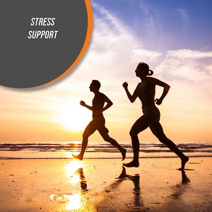 OLLI personalizado Private Labeling 500 mg GABA Cápsulas Natural Formula Gama-Ácido Aminobutírico para todos as mulheres grávidas - Product Image 5