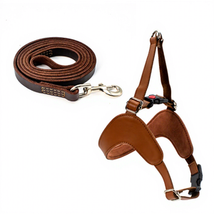 Coleira de couro para cachorro, conjunto de suprimentos para pets, coleira de couro de vaca genuíno de luxo - Product Image 1