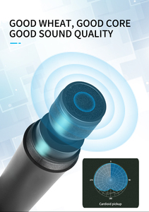 2024 New Arrival E2 Black Color VHF <strong>Wireless</strong> Dual <strong>Dynamic</strong> <strong>Microphone</strong> with AA Batteries - Product Image 3