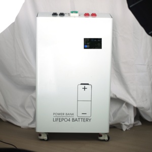Batería LiFePO4 de 51.2V 314Ah 16kWh para Almacenamiento de Energía Doméstica, Montaje en Pared para Sistemas de Energía Solar ESS - Product Image 1