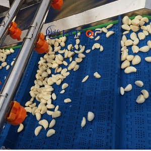 Equipo Comercial <span class=keywords><strong>para</strong></span> Pelar Ajos, Máquina Peladora de Ajos, Línea de Producción de Pasta de <span class=keywords><strong>Ajo</strong></span> - Product Image 5