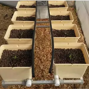 Hydroton clay ciottoli/Hydroton Grow Bed Media per la coltivazione di tutti i tipi di piante