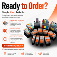 Bloque de Terminales Universal 2 Entradas 2 Salidas para Plástico, Conector Divisor de Cables de Conexión Rápida Eléctrica 250V AWG 10-26