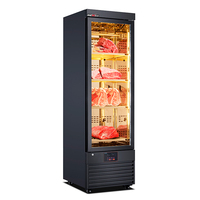 Lemari Pendingin Kaca Suhu Tunggal Kontrol Temperatur Digital Defrost Otomatis untuk Daging Basah, Steak Matang, dan Kabinet Udara
