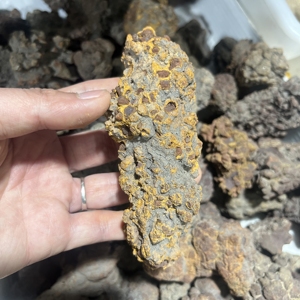 Venta al por mayor a granel de dinosaurio fósil natural, <span class=keywords><strong>coprolito</strong></span>, piedra de cristal fósil para colección de regalos - Product Image 5