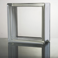 Briques de verre creuses à bord blanc de 50/80mm d'épaisseur pour la cuisine lumières LED teintées Match éclairage amélioré solide médical industriel