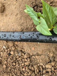 Altro irrigazione 0.4mm parete miglior sistema di irrigazione a goccia agricolo nastro di irrigazione a goccia Pe prezzo basso 16mm tubo di irrigazione a goccia