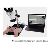 Simulador de Microcirugía Extra-Divina, Microscopio de Entrenamiento Microquirúrgico Extracerebral, Anastomosis Vascular