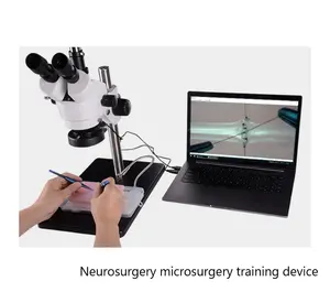 Microsurgical 가장 조련사 여분 신성한 Extracerebral microsurgical 훈련 현미경 관 문합