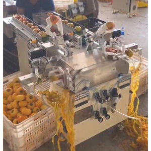 เครื่องปอกเปลือกผลไม้แบบสายพานคู่ไฟฟ้าเชิงพาณิชย์ ราคา - Product Image 3