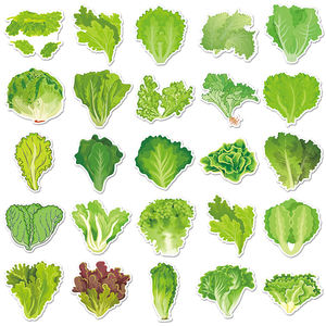 50pcs haute qualité dessin animé décoration autocollants Graffiti étanche légume laitue autocollant - Product Image 4