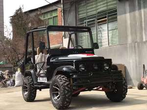 Mini Buggy Todoterreno Estilo Jeep de 150-250HP, Motor a Gas/GLP, 2/4/6 Asientos, Batería de Plomo-Ácido, Certificación CE, 2 Años de Garantía de Fábrica - Product Image 6