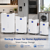 Batterie de stockage LiFePO4 solaire autonome extérieure 16 kWh 51,2 V 314 Ah empilable, intelligente, Wi-Fi, sans entretien et fiable