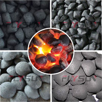 Ligne de production de charbon sans poussière, machine à fabriquer du charbon de bois pour chicha, machine à briquettes de charbon à partir de sciure