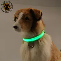 애완 동물 주인 사려깊은 애완 동물 고리 Eco 친절한 조정가능한 밤 안전 번쩍이는 LED 개 목걸이 USB 재충전용 고양이 고리
