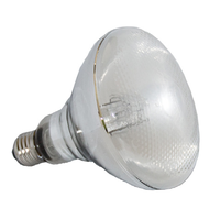 Lampe UVB UVA écologique pour reptiles, ampoule chauffante solaire pour terrarium de tortues, 80W-160W