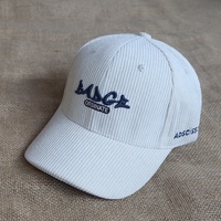 Gorras de Béisbol Deportivas Casuales para Mujer, con Logotipo Bordado en 3D Personalizado, de Pana, 6 Paneles, Estructuradas, con Visera Curva, en Oferta