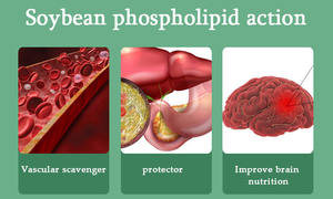 ซอฟเจลเลซิตินจากถั่วเหลืองที่ดีที่สุด เม็ดเลซิตินจากถั่วเหลือง แคปซูลเลซิตินจากถั่วเหลือง ผลิตภัณฑ์ความงาม เลซิตินจากถั่วเหลืองแบบซอฟเจล โรงงานผลิตโดยตรง - Product Image 4