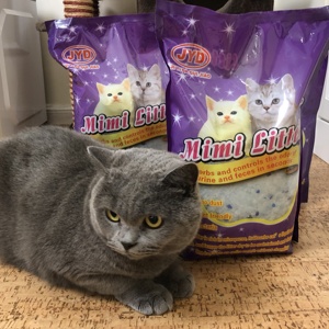 Usine de sable de <span class=keywords><strong>silice</strong></span> Vente chaude <span class=keywords><strong>Litière</strong></span> pour chat en gel de <span class=keywords><strong>silice</strong></span> - Product Image 2