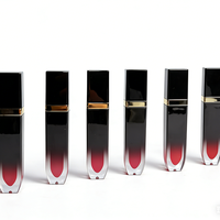 Rouge à lèvres liquide et gloss personnalisés de qualité supérieure - OEM/ODM, Votre logo et couleur