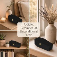 Urna Funeraria de Madera Negra Pequeña para Mascotas, en Forma de Ataúd, para Cenizas de Perros y Gatos, con Logotipo Personalizado, Servicio OEM y ODM, Precio de Fábrica