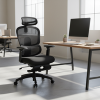 Chaise ergonomique intelligente et réglable en maille avec support lombaire dynamique, structure en plastique, style exécutif, garantie 3 ans pour la maison moderne